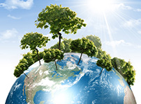 从垃圾分类看环保商机